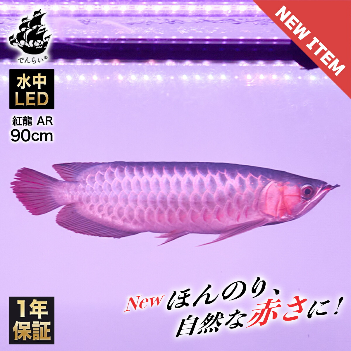 アルカナライト　120cm水槽用LED水中ライト　アロワナ 紅龍 藍底過背金龍 アルカナライト 120cm水槽用LED水中ライト アロワナ 紅龍 藍底過背金龍