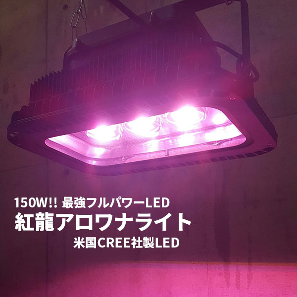 10 Off プロ仕様 史上最強フルパワー アロワナライト 赤色 150ｗ Led 水槽の上 上部 ライト 照明 紅龍用 金龍用 2種類 水中照明 水中 蛍光灯 アクアリウム 熱帯魚 アジアアロワナディスカス でんらい アジアアロワナ コウリュウ レッドアロワナ 色揚げ 綺麗に見える Fucoa Cl