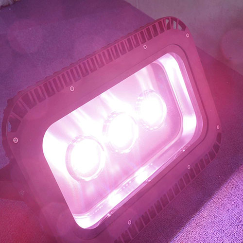 楽天市場 ポイント5倍4日時 11日2時 史上最強フルパワー アロワナライト Led 上部ライト 上部照明 紅龍用 金龍用 2種類 水中照明 水中蛍光灯 アクアリウム 熱帯魚 アジアアロワナ アロワナ水中ｌｅｄライト Ar Max 送料無料 でんらい