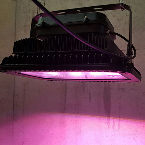 楽天市場 ポイント5倍4日時 11日2時 史上最強フルパワー アロワナライト Led 上部ライト 上部照明 紅龍用 金龍用 2種類 水中照明 水中蛍光灯 アクアリウム 熱帯魚 アジアアロワナ アロワナ水中ｌｅｄライト Ar Max 送料無料 でんらい