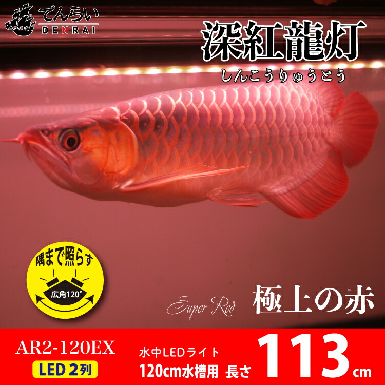 期間限定 30 Off アロワナ ライト 紅龍 1cm水槽用 深紅龍灯 スーパーレッド レベル2 Ex Led 2列 水中 照明器具 水中蛍光灯 アクアリウム 熱帯魚 アジアアロワナ ディスカス でんらいar2 1 Ex 送料無料 Ar2 Ex Pnima Magazine Co Il