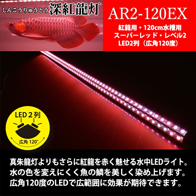 期間限定 30 Off アロワナ ライト 紅龍 1cm水槽用 深紅龍灯 スーパーレッド レベル2 Ex Led 2列 水中 照明器具 水中蛍光灯 アクアリウム 熱帯魚 アジアアロワナ ディスカス でんらいar2 1 Ex 送料無料 Ar2 Ex Pnima Magazine Co Il