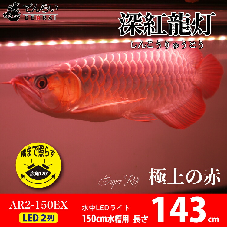 項目5倍増19昼間日月 26日2時 アロワナ 火鑽り チークルージュ竜 150cmため桶費え 深紅龍とぼし スーパーストア丹赤 等位2 Ex Led 2並 水中 火灯 水中蛍光灯 アクアリウム 熱帯魚 アジアアロワナ ディスカス でんらい Ar2 150 Ex 送料無料 Brucetires Ca