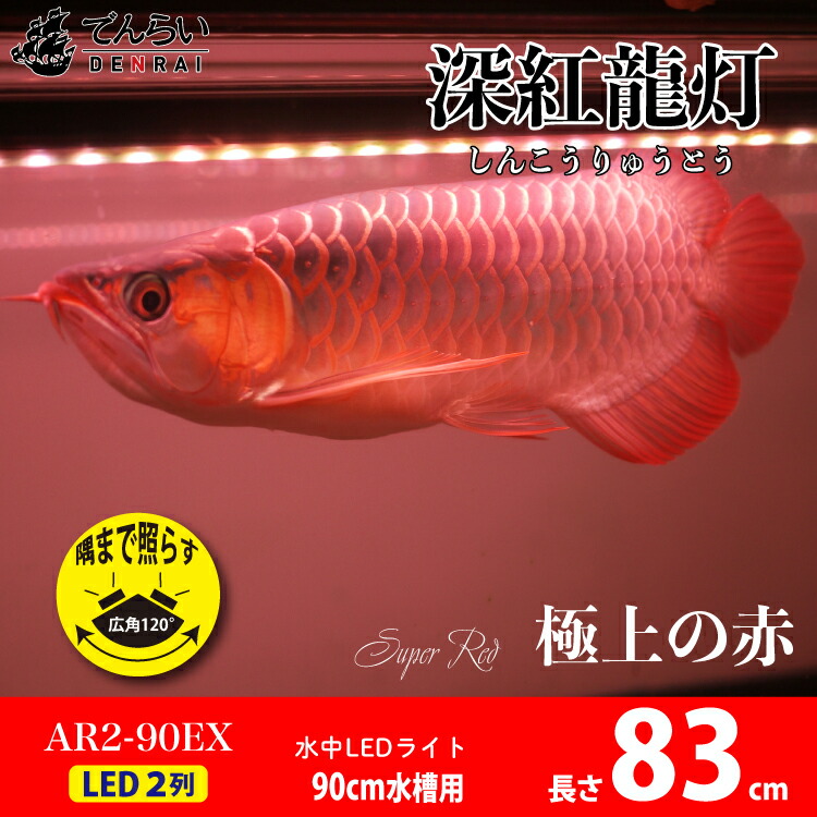 売れ筋商品 色揚げ 効果 日焼け A波 Uv 2列 Led Ex リバイブソード 朱紫龍灯 90cm水槽用 紅龍 ライト アロワナ 水中 Ar2 Uv Ex 送料無料 Ar2 90uv Ex でんらい ディスカス アジアアロワナ 熱帯魚 アクアリウム 水中蛍光灯 照明器具 照明 B2brecharge In