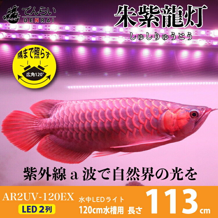 アロワナ 火具 紅火竜 1cm水槽勘定 赤紫龍洋燈 リバイブソード Ex Led 2並 Uv A浪 日焼け 果 色揚げ 水中 点火装置什 水中螢光灯 アクアリューム 熱帯魚族 アジアアロワナ ディスカス でんらい Ar2 1uv Ex 送料無料 Vned Org