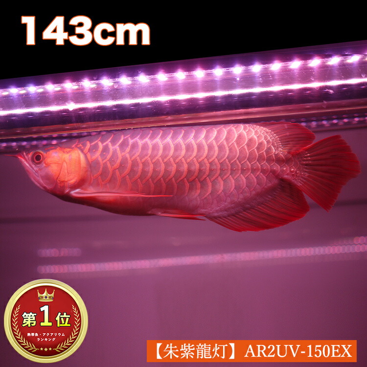 楽天市場 アロワナ ライト 紅龍 0cm水槽用 朱紫龍灯 リバイブソード Ex Led 2列 Uv A波 日焼け 効果 色揚げ 水中 照明 水中蛍光灯 アクアリウム 熱帯魚 アジアアロワナ ディスカス でんらい Ar2 0uv Ex 送料無料 Ar2 Uv Ex でんらい