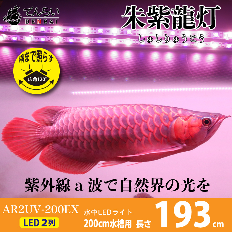 楽天市場 アロワナ ライト 紅龍 0cm水槽用 朱紫龍灯 リバイブソード Ex Led 2列 Uv A波 日焼け 効果 色揚げ 水中 照明 水中蛍光灯 アクアリウム 熱帯魚 アジアアロワナ ディスカス でんらい Ar2 0uv Ex 送料無料 Ar2 Uv Ex でんらい