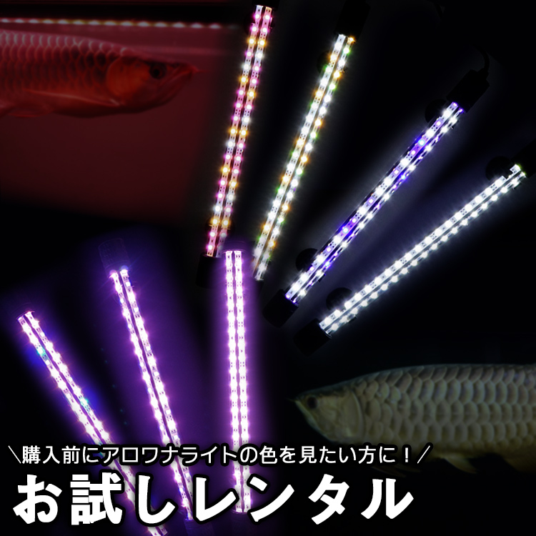 8866円 70％以上節約 殺菌灯 水槽 水中 35cm UV-C UVC 深 紫外線 ライト 殺菌 アクアリウム 熱帯魚 観賞魚 アロワナ 池  水槽用 フィルター タンク で使用 水質浄化