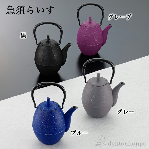 岩鋳 南部鉄器 急須 らいす 選べる4色/黒/グレープ/ブルー/グレー 600ml 茶こし付 ( 岩鋳 母の日 早割 プレゼント 初任給 ティーポット お茶 煎茶 日本茶 おすすめ 南部鉄器 結婚 出産 内祝い 引き出物 金婚式 誕生日プレゼント 還暦祝い 古希 喜寿 米寿 退職 定年 )