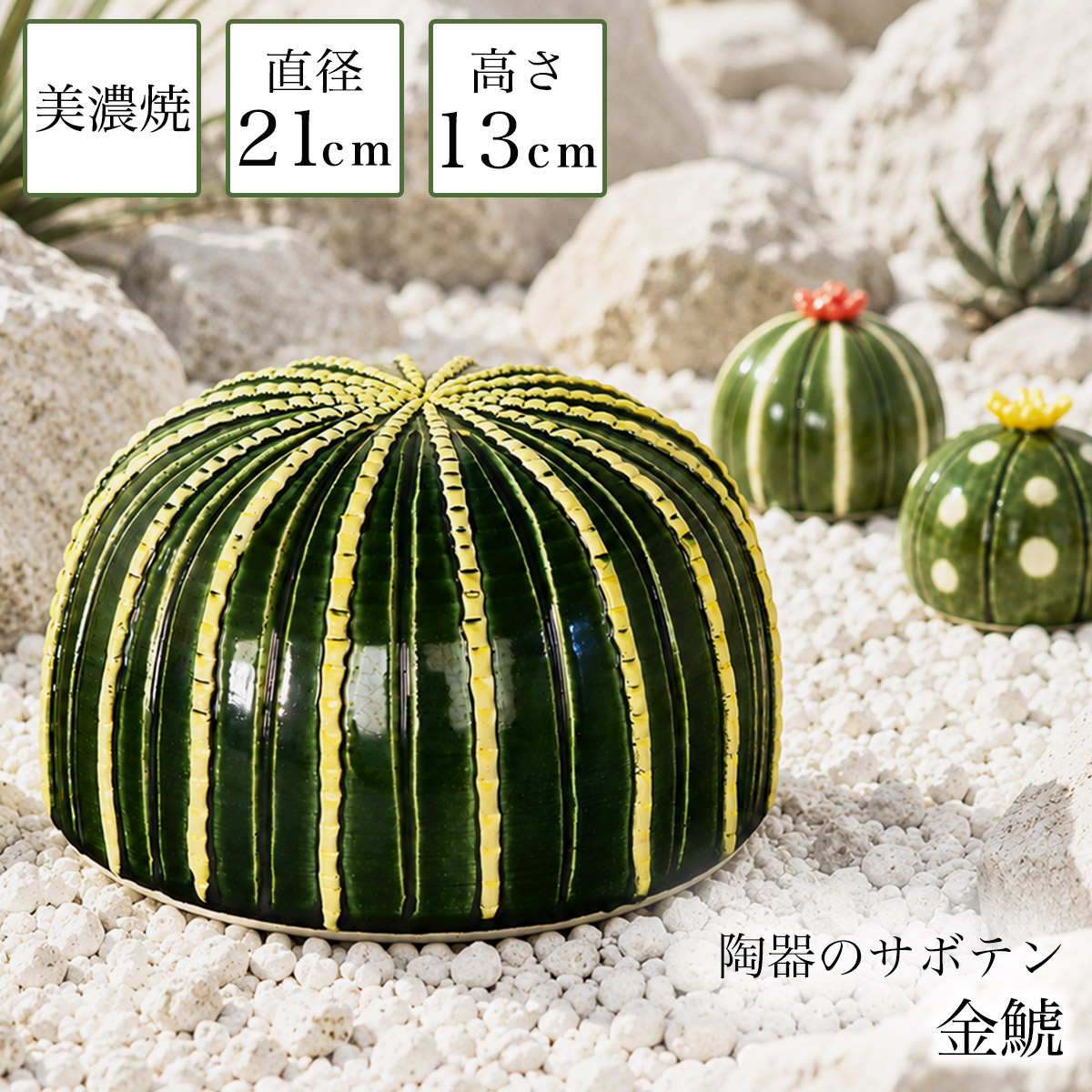 SERA SABO 陶器のサボテン 金鯱 単品 ( 置物 オブジェ 庭 フェイクグリーン ロックガーデン インテリア 多肉 植物 美濃焼 周年 創立 上場 竣工 誕生日プレゼント 還暦祝い 古希 喜寿 米寿 退職 定年 プレゼント お祝い お返し お礼 令和 海外 日本 取引先 法人 )|伝統本舗