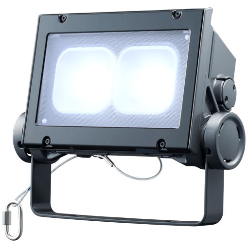岩崎電気　 レディオック フラッド ネオ　ECF6040SW/DSAN8/DG　昼光色タイプ　60クラス　超広角タイプ　ダークグレイ