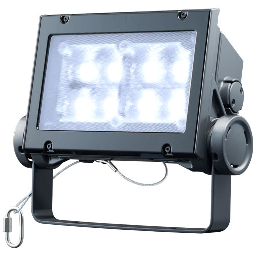 岩崎電気　 レディオック フラッド ネオ　ECF6040W/DSAN8/DG　昼光色タイプ　60クラス　広角タイプ　ダークグレイ