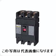 日東工業 NE252 2P 250A NFB 否電気ヒューズ サーキットブレーカ・経済システム形 日東 ☆ 付け出し受け取り書能力のある
