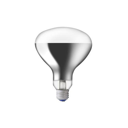 岩崎 RF110V180WH E26 屋外投光器用 散光形 レフランプ アイランプ リフレクターランプ 200W型 10本セット