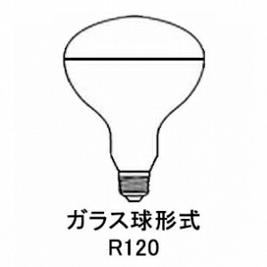 岩崎電気 【ケース販売特価 10個セット】 屋外投光用アイランプ 集光形 220V 200W形 E26口金 RS220V180WH_set