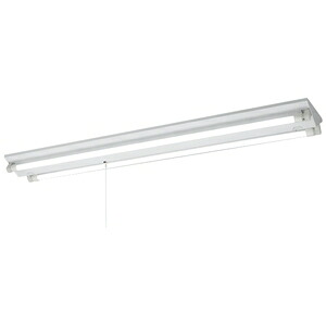 岩崎電気 LEDベースライト ≪LEDioc≫ 直管LEDランプ用 LDL40用 逆富士形 2灯用 ELV40202APFH9