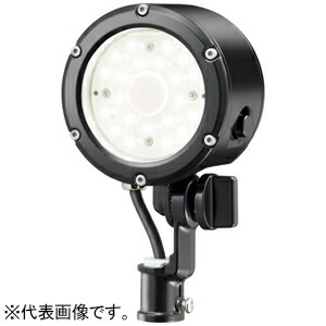 岩崎電気 LED投光器 ≪LEDioc FLOOD LUNT≫ 屋外・屋内用 14Wタイプ E30014W/NSAN9/BK