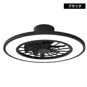 ヒロコーポレーション 【お買い得 2個セット】シーリングファンライト10畳用 ブラック HLCF-550BK_set