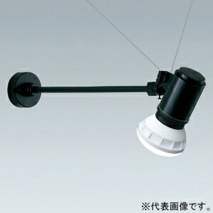遠藤照明 LED看板灯 防雨形 アームタイプ バラストレス水銀レフ形LEDランプタイプ 160W形相当 非調光 ERS4980H