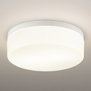 遠藤照明 LEDブラケットライト 2灯用 防湿・防雨形 FCL30W相当 E26口金 ランプ別売 ERG5489WA