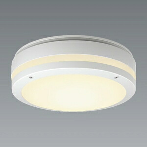 遠藤照明 LEDブラケットライト 防湿・防雨形 フロストクリプトン球40W形×2灯用相当 E17口金 ランプ別売 壁面・天井面取付兼用 ERG5472WC