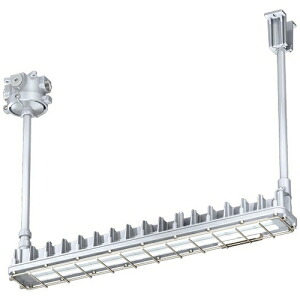 岩崎電気 普通粉じん防爆形LED照明器具 《LEDioc》 パイプ吊形 Hf32W×1灯用相当 高出力形 昼白色 EDCL2021SA9-16
