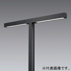 遠藤照明 LEDポール灯 2灯用 防湿・防雨型 5000lmTYPE 水銀ランプ250W器具相当 調色 SXL8004H 98,903円