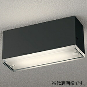 オーデリック LED小型ポーチライト 防雨型 高演色LED 白熱灯器具40W相当 LED一体型 拡散光カバータイプ OG264099NR