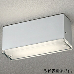 オーデリック LED小型ポーチライト 防雨型 高演色LED 白熱灯器具40W相当 LED一体型 拡散光カバータイプ OG264100LR