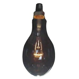 アサヒ 【お買い得品 50個書き割り】 室内装飾白熱電球 DP110 110V100W 全光束:1580ルーメン 口金:E26 せつ然たる DP110E26110V-100W_50set