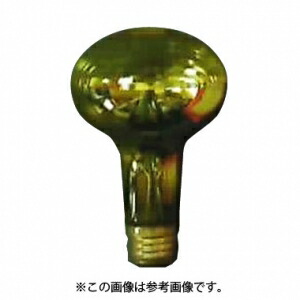 アサヒ 【お買い得品 100個仕掛ける】 殺虫剤白熱電球 110V40W 口金:E26 耐熱塗り付ける素はだ産業 ボウチュウデンキュウ40Wヒマクツキボウテキヨウ_100set