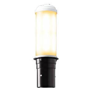 岩崎電気 LED極点点火装置 《LEDioc AREA TOLICA-L》 マーキュリー照明ランプ400W好いかげんに 防雨形 白熱電球色 ワット数社会的単位別置形 暗然たる赤銅色 E50075/LSAN9/DB