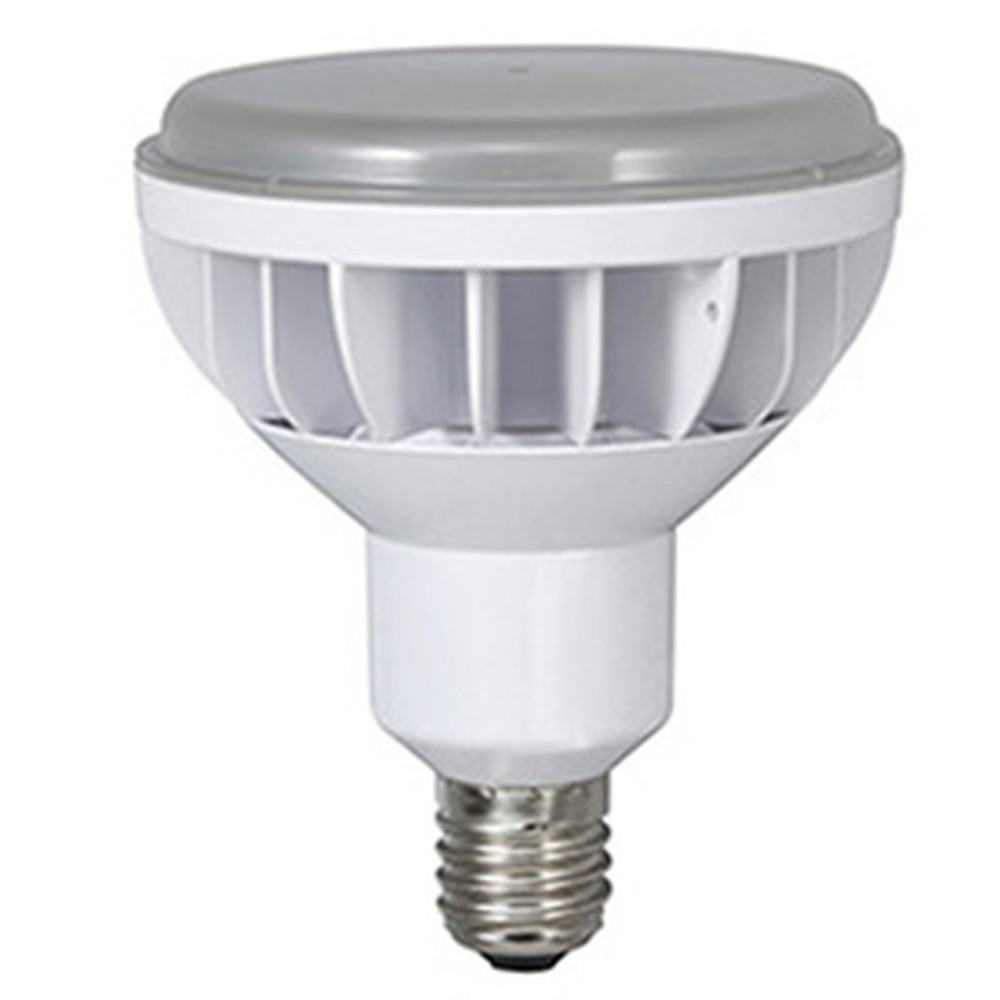 楽天市場】ハタヤ LEDランプ交換球 ビームランプタイプ 20W ビーム角60