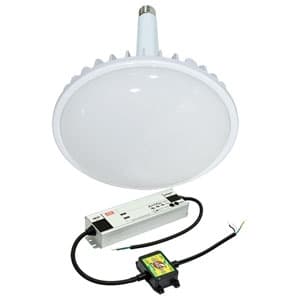 日動加工 高上昇限度用LED手道具 ハイスペックハイディスク300W 口金式 HID1000W好いかげんに 昼白いこと 直流ワット数備え付ける外信用販売型 広広とした印字機 口金E39 乳白 L300V2-E39-HMW-50K-N