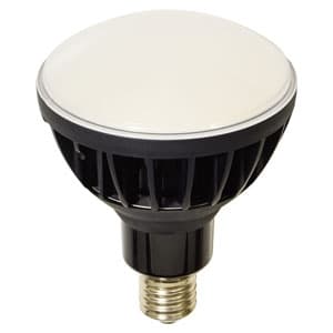 日動工業 高演色LED電球 ハイスペックエコビック50W バラストレス水銀灯500W相当 ワイドタイプ 昼白色 口金E39 黒色 L50V2-J110BK-50K 22,042円