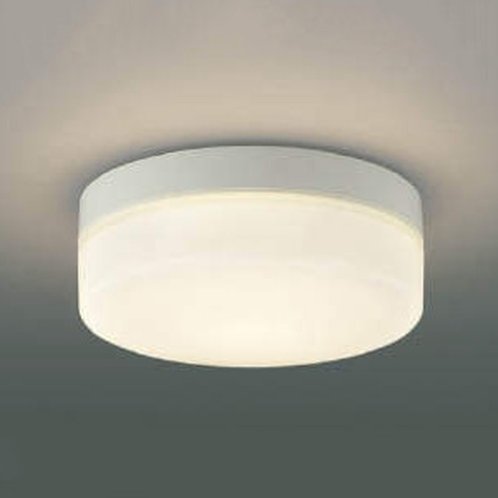 コイズミ照明 LED一体型階段通路誘導灯・非常灯 防雨型 直・壁取付用 FCL20W相当 電球色 AR49373L
