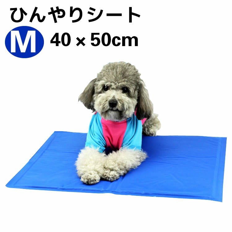 楽天市場】ペットシート犬 猫用品 ペットクールマット Sサイズ 30×40cm