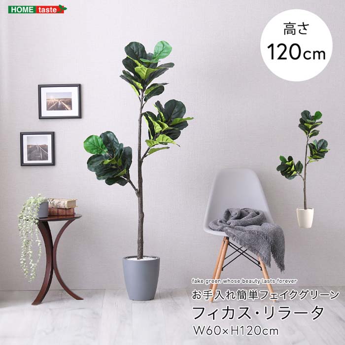 お手入れ簡単フェイクグリーン フィカス・リラータ Sサイズ(120cm)|雑貨DEPO