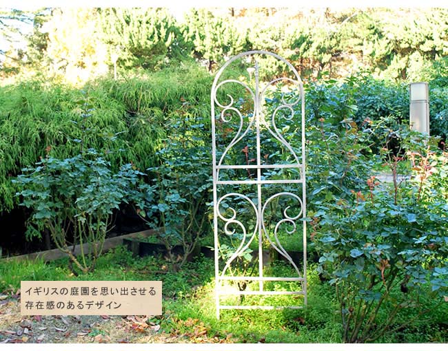 ポイント10倍 アイアントレリス フィニアル 2枚組 送料無料 フェンス ゲート 扉 アイアン ガーデンフェンス ガーデニング 枠 柵 仕切り 目隠し 境目 クラシカル アンティーク トレリス ベランダ つる 薔薇 バラ 朝顔 園芸 ラティス つるバラ 庭誘引 屋外 Fucoa Cl