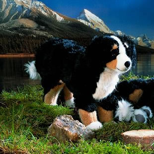 giant stuffed bernese mountain dog