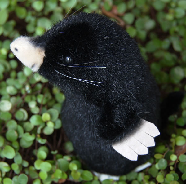 楽天市場】ケーセン ぬいぐるみ kosen もぐら モグラ 立ち 15cm