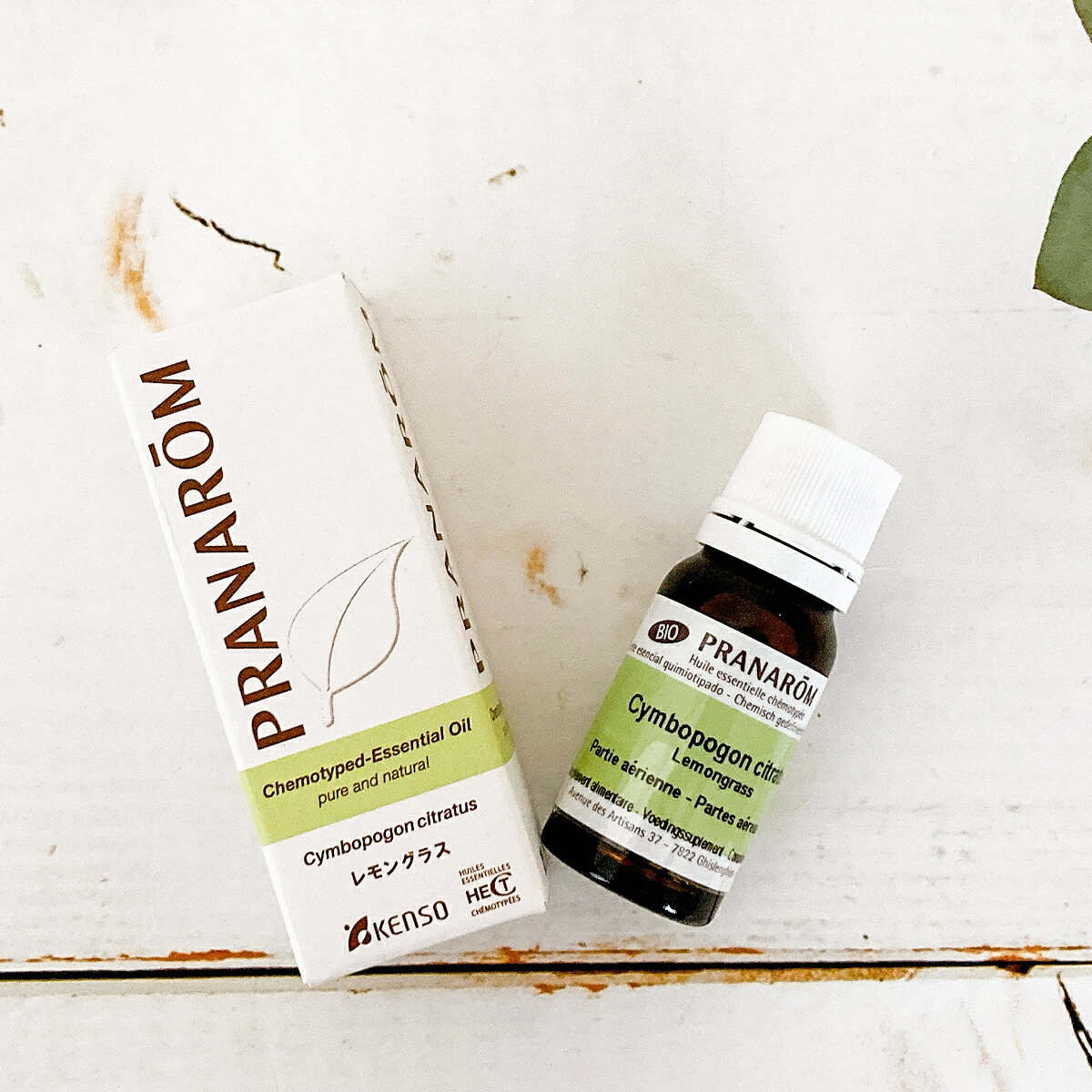 楽天市場】ケモタイプ精油事典セット（ナード） : アロマ×アロマ