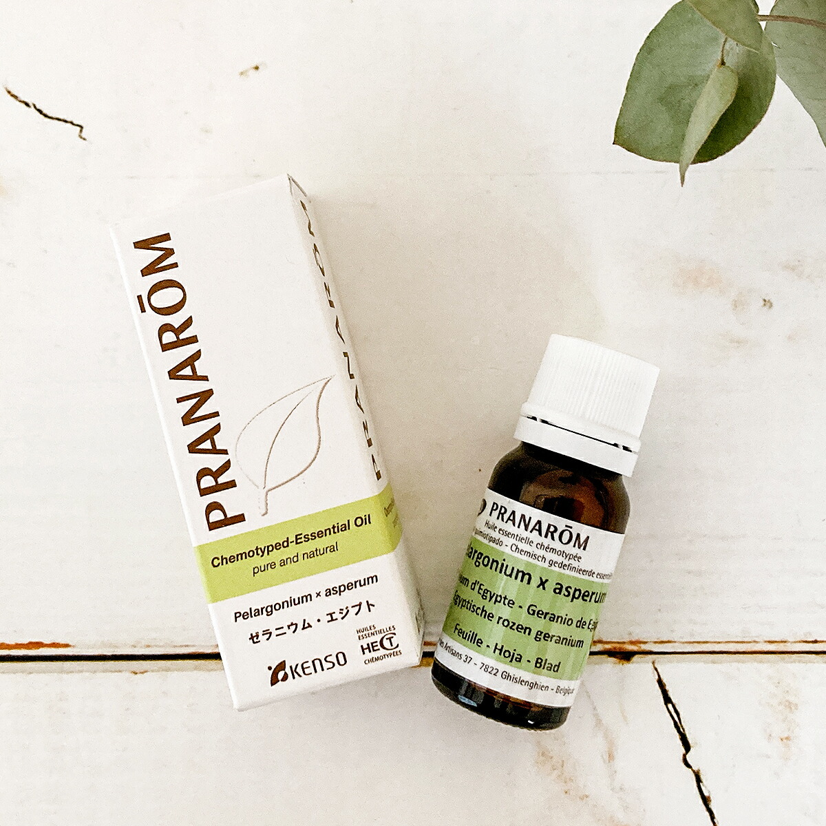 楽天市場】ケモタイプ精油事典セット（ナード） : アロマ×アロマ