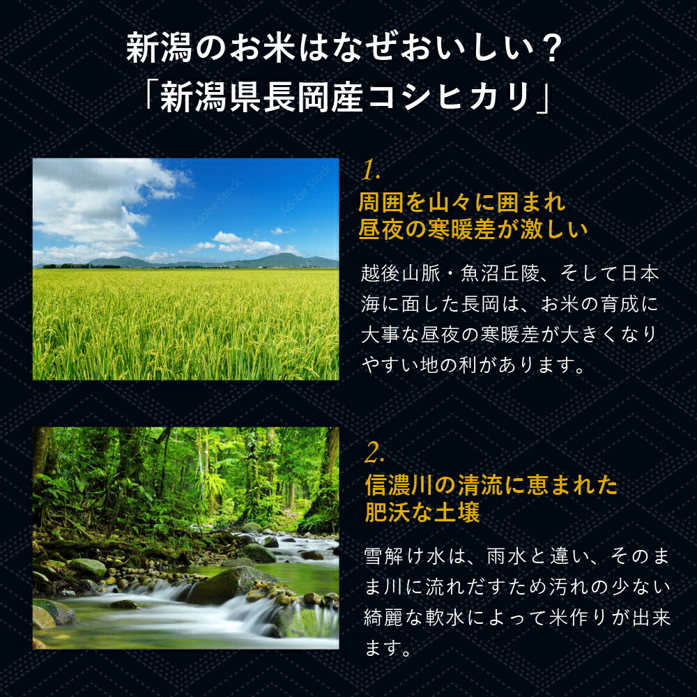 コシヒカリ 10kg お米 こしひかり 令和3年産 新潟県産 白米 送料無料 長岡産 保障 白米