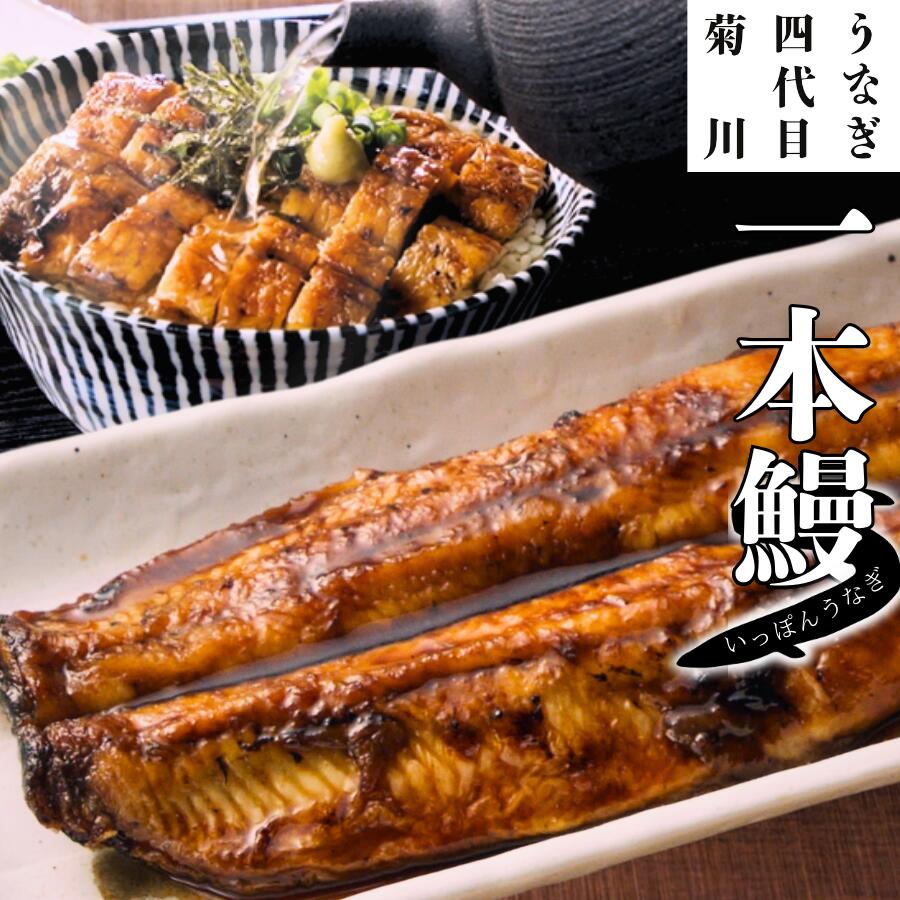 楽天市場】【レンジで 10分 簡単 土鍋】 伊賀ノ匠 一人用 (1人用