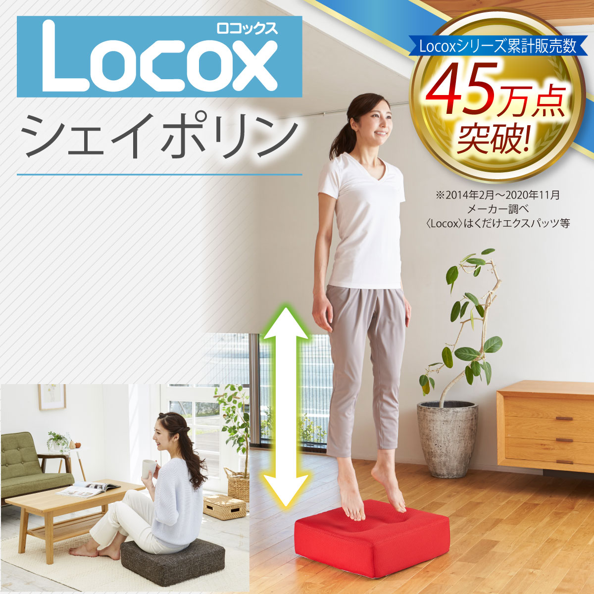 ロコックス　LOCOX L〜LL 2枚セット