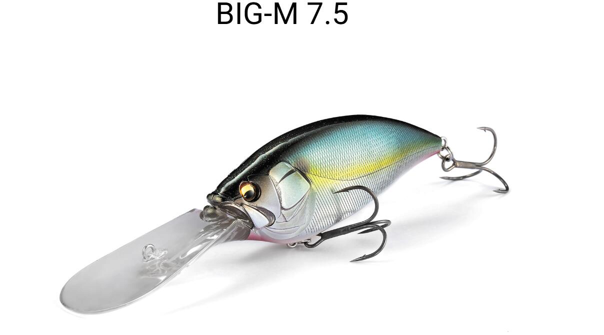 楽天市場】メガバス ニュードラム100 ブラウントラウト Megabass NEW