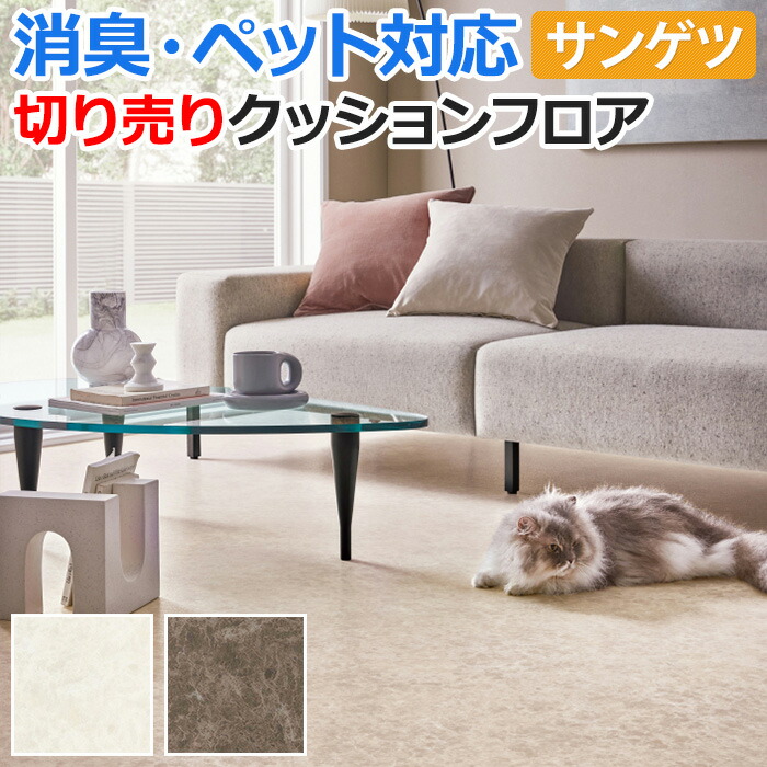 炭化したパンクッションおまけ付き hm11110-11111.jpg