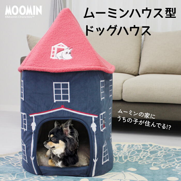 一般受けのダイニングラグが尖んがり2倍！！