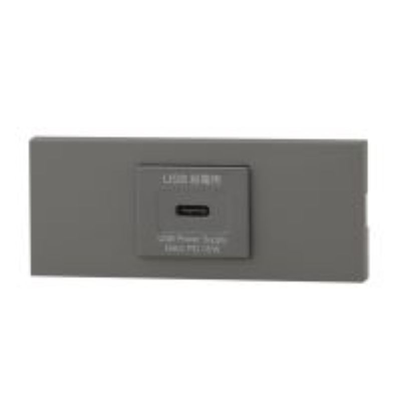 神保電器 KAG-1528 NK続きもの調度品・設備用USB差し込み（Type-C）仕掛ける 1口（SG色）